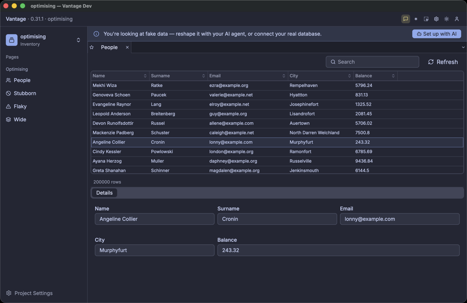The binder over 200,000 generated people: the row list, the quick-search box, the row count, and the details panel for the selected row